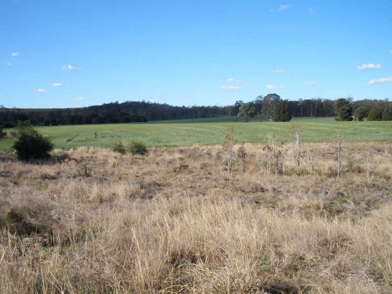 207 Brand Road, Wooroonden QLD 4605