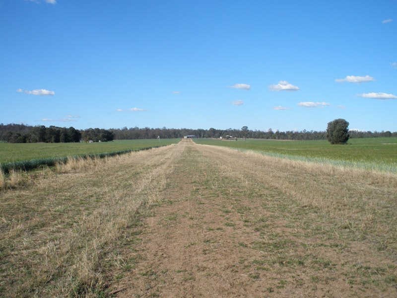 207 Brand Road, Wooroonden QLD 4605