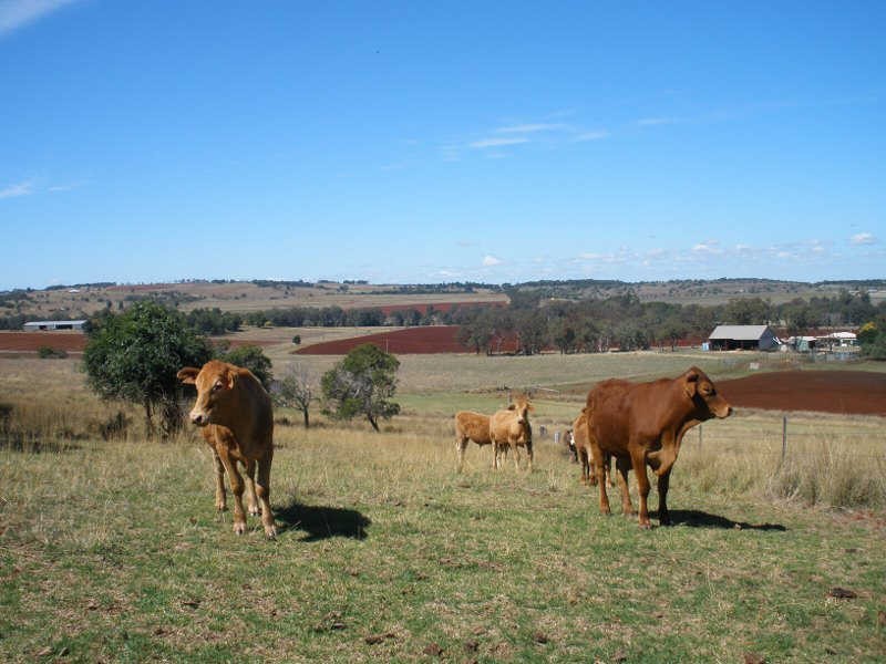 47 Earl Road, Memerambi QLD 4610