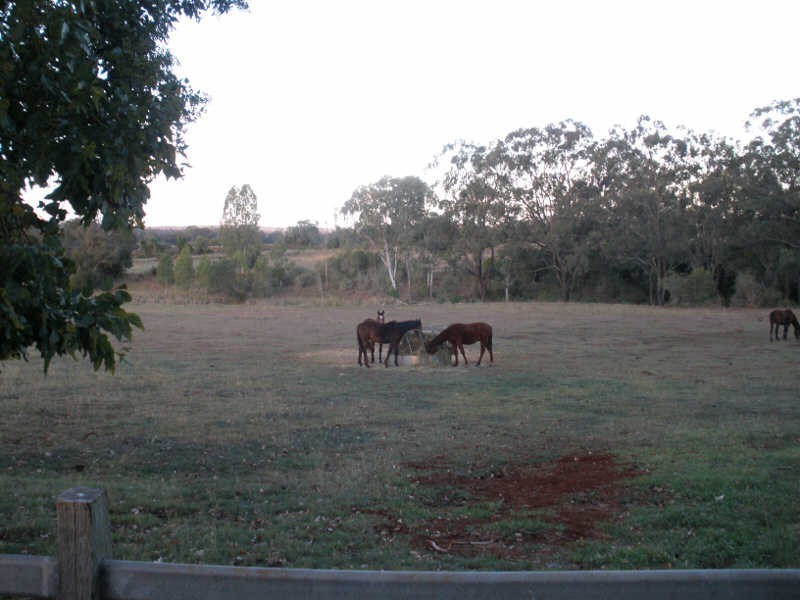 508 Corndale Road (Lot 2), Corndale QLD 4610