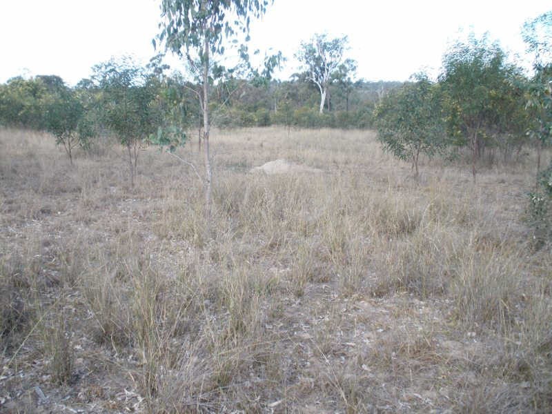Lot 29 Shellytop Road, Durong QLD 4610