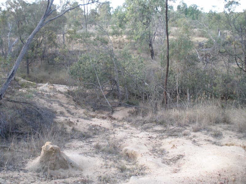 Lot 29 Shellytop Road, Durong QLD 4610