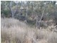 Lot 29 Shellytop Road, Durong QLD 4610