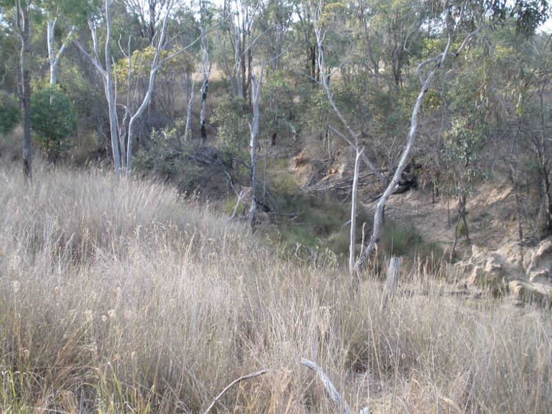 Lot 29 Shellytop Road, Durong QLD 4610