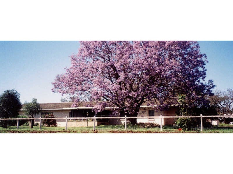 Wyalla QLD 4615