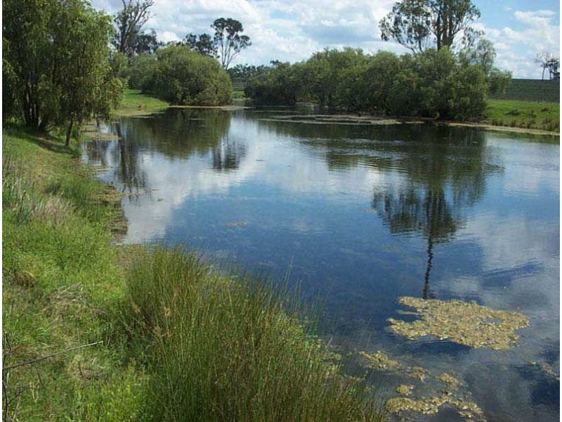 Wyalla QLD 4615