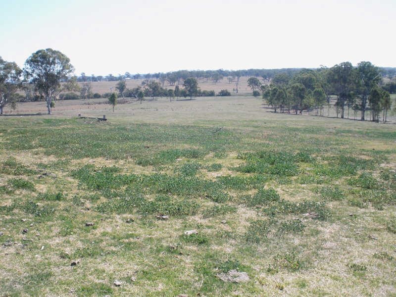 Wyalla QLD 4615
