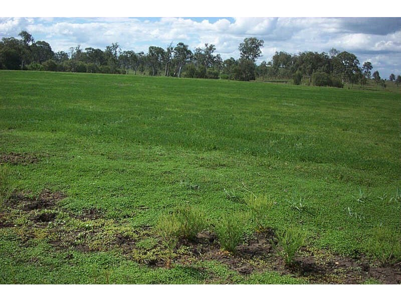 Wyalla QLD 4615