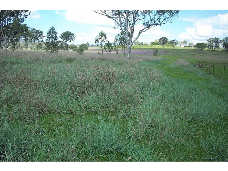 Wyalla QLD 4615