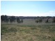 Wyalla QLD 4615