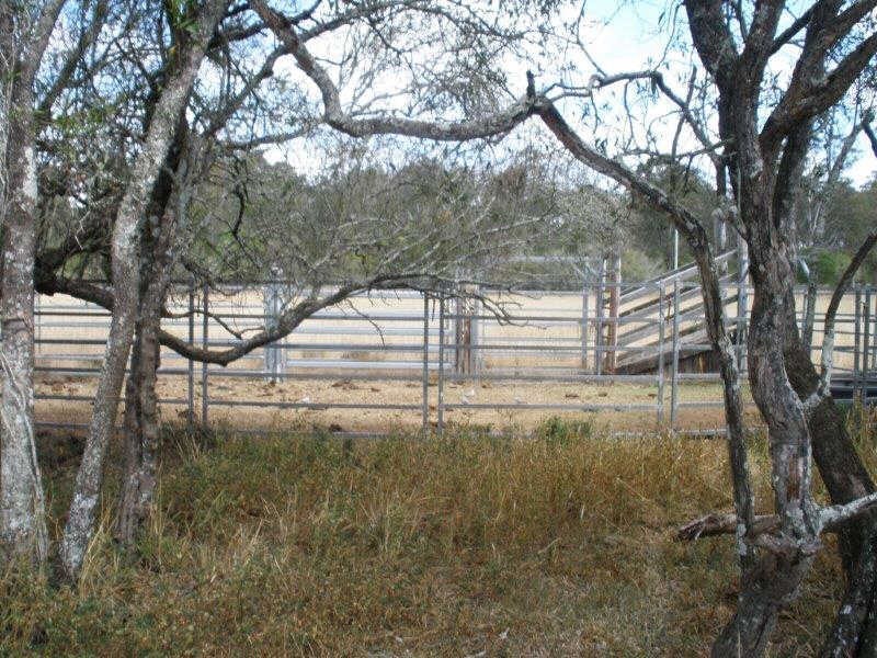 371 Boardman Road, Hodgleigh QLD 4610