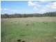 371 Boardman Road, Hodgleigh QLD 4610