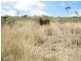 371 Boardman Road, Hodgleigh QLD 4610