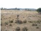 371 Boardman Road, Hodgleigh QLD 4610
