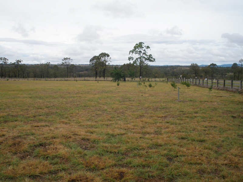 43 Hilltop Drive, Ellesmere QLD 4610