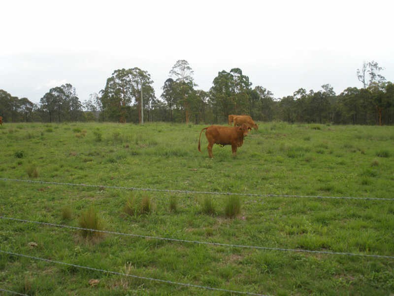 84 Wittman Road, Booie QLD 4610