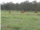 84 Wittman Road, Booie QLD 4610
