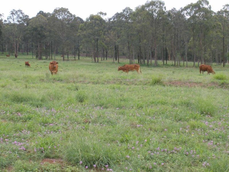 84 Wittman Road, Booie QLD 4610