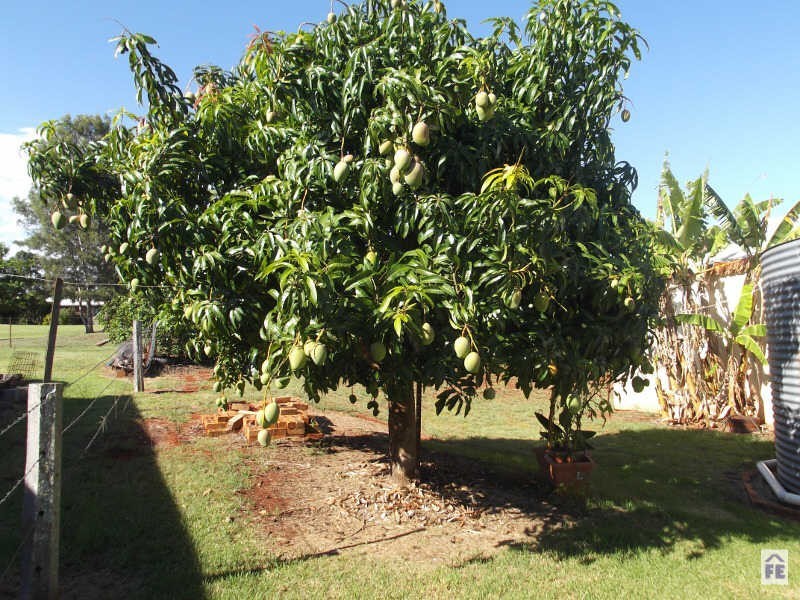 33 Couchmans Road, Kingaroy QLD 4610