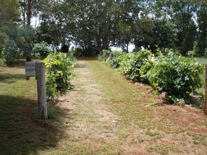 575 Ellesmere North Road, Ellesmere QLD 4610