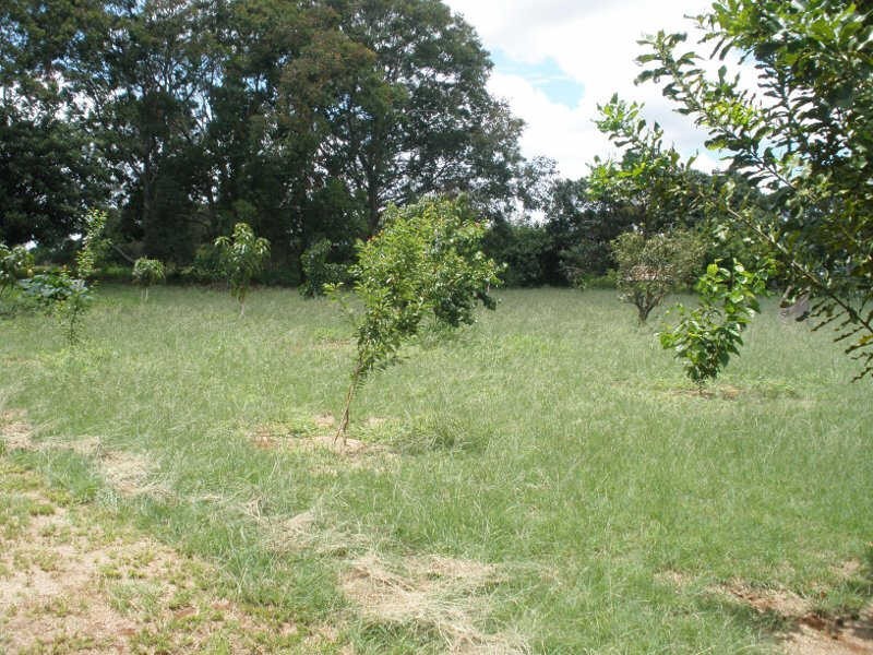 575 Ellesmere North Road, Ellesmere QLD 4610