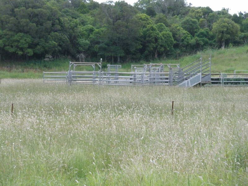 Lot 438 Dowers Road, Tingoora QLD 4608