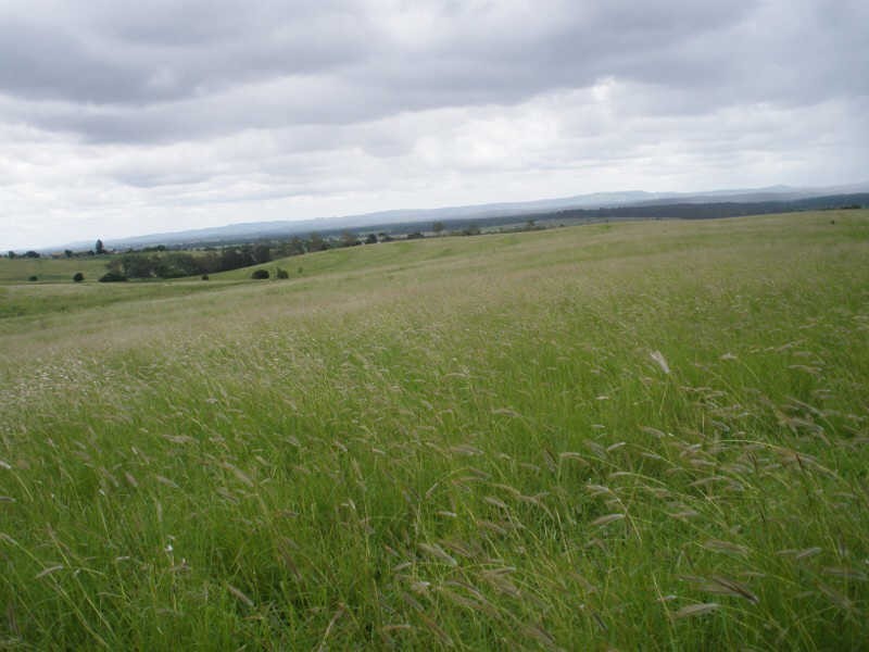 Lot 438 Dowers Road, Tingoora QLD 4608