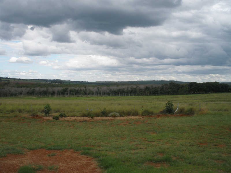 98 Woods Road, Wooroolin QLD 4608