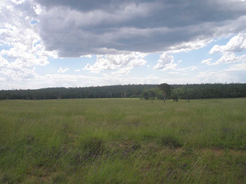 13452 Chinchilla Wondai Road, Wilkesdale QLD 4608