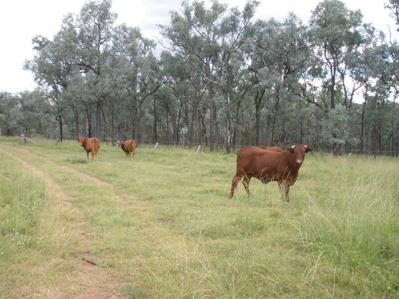 13452 Chinchilla Wondai Road, Wilkesdale QLD 4608