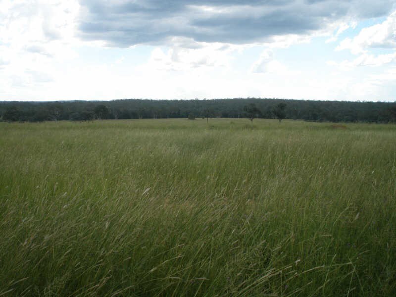 13452 Chinchilla Wondai Road, Wilkesdale QLD 4608