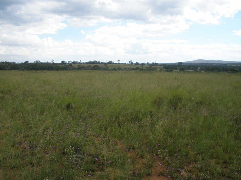 13452 Chinchilla Wondai Road, Wilkesdale QLD 4608