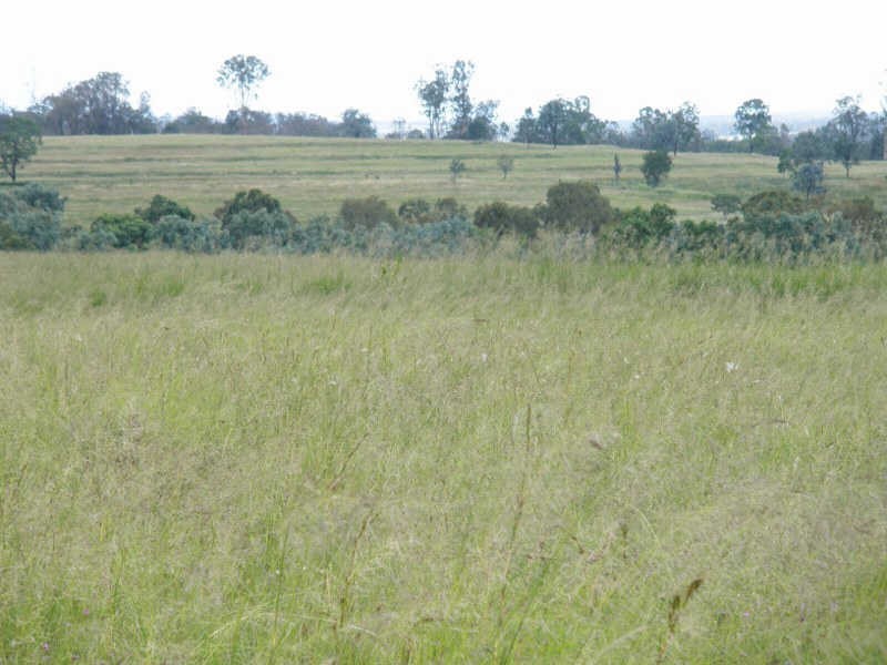 13452 Chinchilla Wondai Road, Wilkesdale QLD 4608