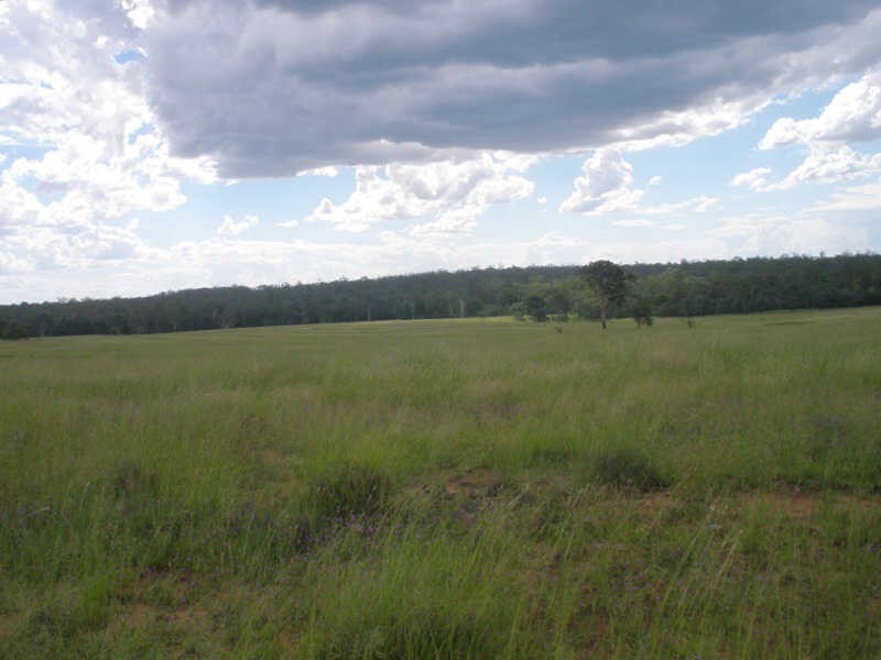 13452 Chinchilla Wondai Road, Wilkesdale QLD 4608