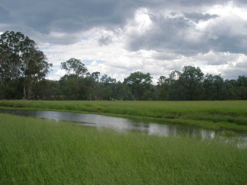 13452 Chinchilla Wondai Road, Wilkesdale QLD 4608