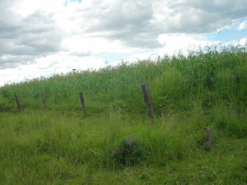 13452 Chinchilla Wondai Road, Wilkesdale QLD 4608