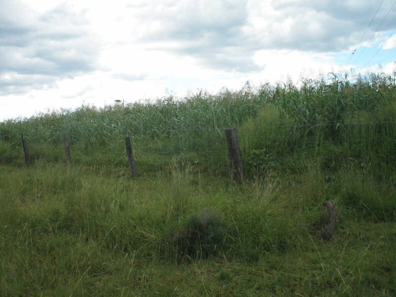 13452 Chinchilla Wondai Road, Wilkesdale QLD 4608