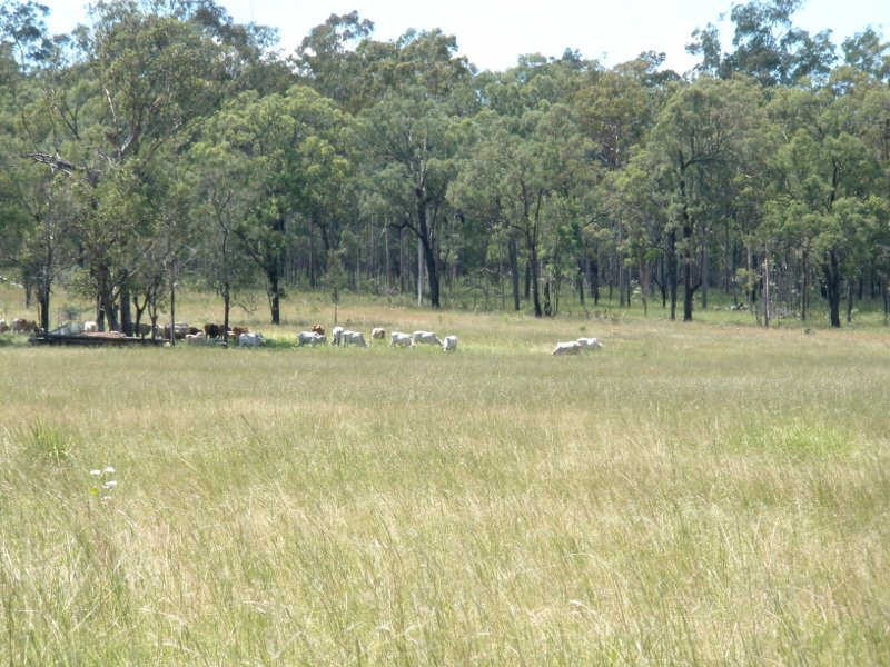 Lot 17 Mundubbera Durong Road, Beeron QLD 4626