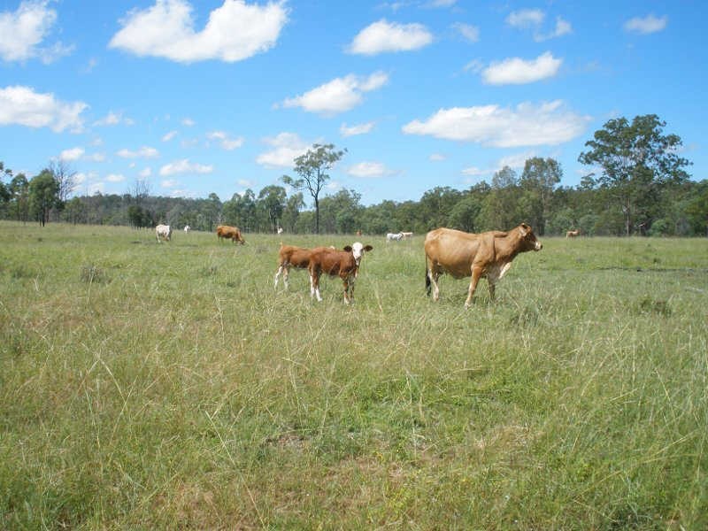 Lot 17 Mundubbera Durong Road, Beeron QLD 4626