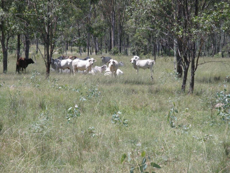 Lot 17 Mundubbera Durong Road, Beeron QLD 4626