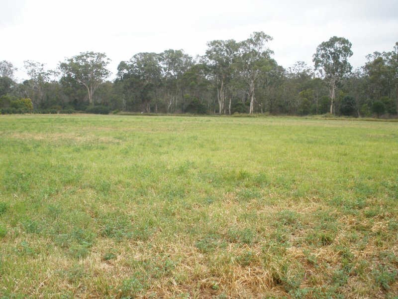 15060 D’Aguilar Highway, Hodgleigh QLD 4610