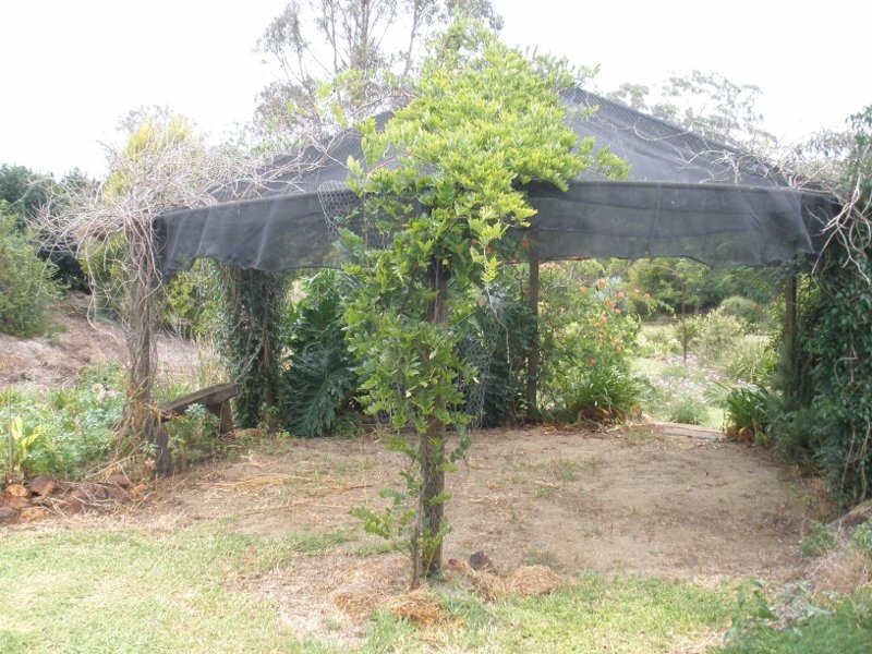15060 D’Aguilar Highway, Hodgleigh QLD 4610