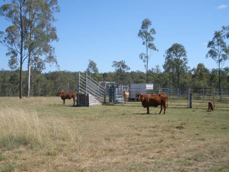 278 Wattle Camp Road, Wattle Camp QLD 4615