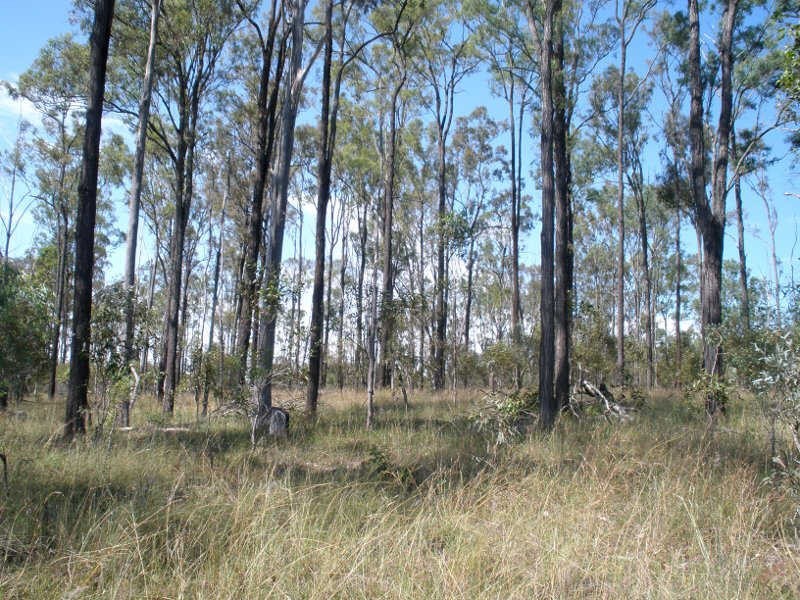 278 Wattle Camp Road, Wattle Camp QLD 4615