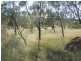278 Wattle Camp Road, Wattle Camp QLD 4615