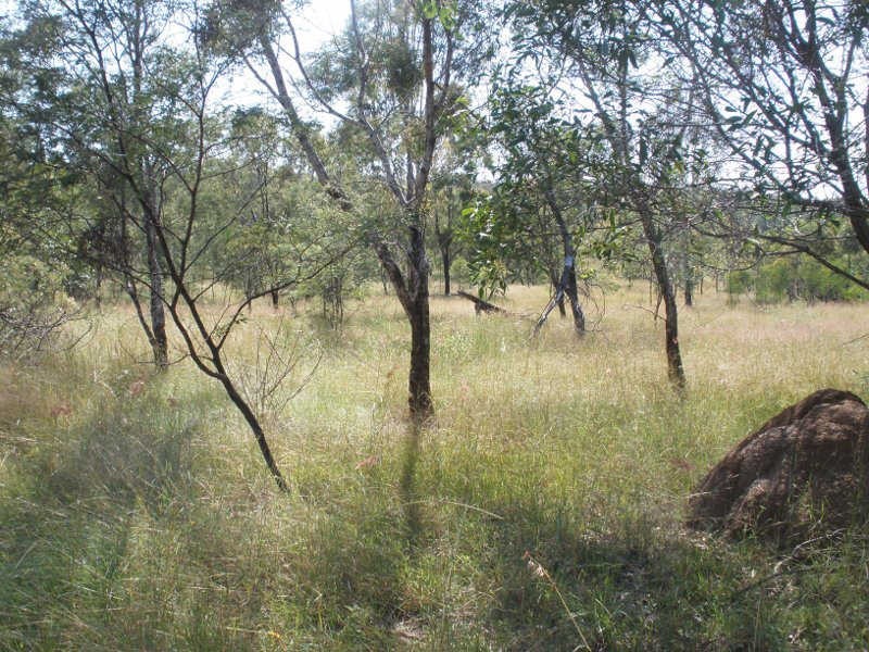 278 Wattle Camp Road, Wattle Camp QLD 4615