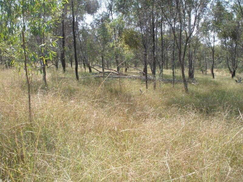 278 Wattle Camp Road, Wattle Camp QLD 4615