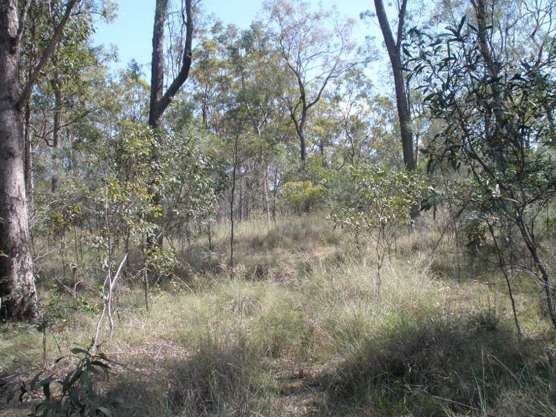 102 McQuire Road, Wattle Camp QLD 4615