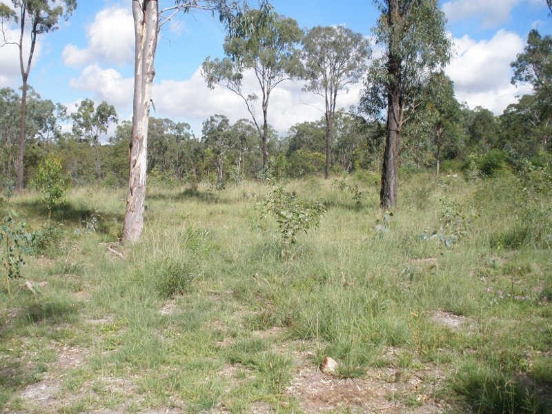 25 Parker Road, Ellesmere QLD 4610