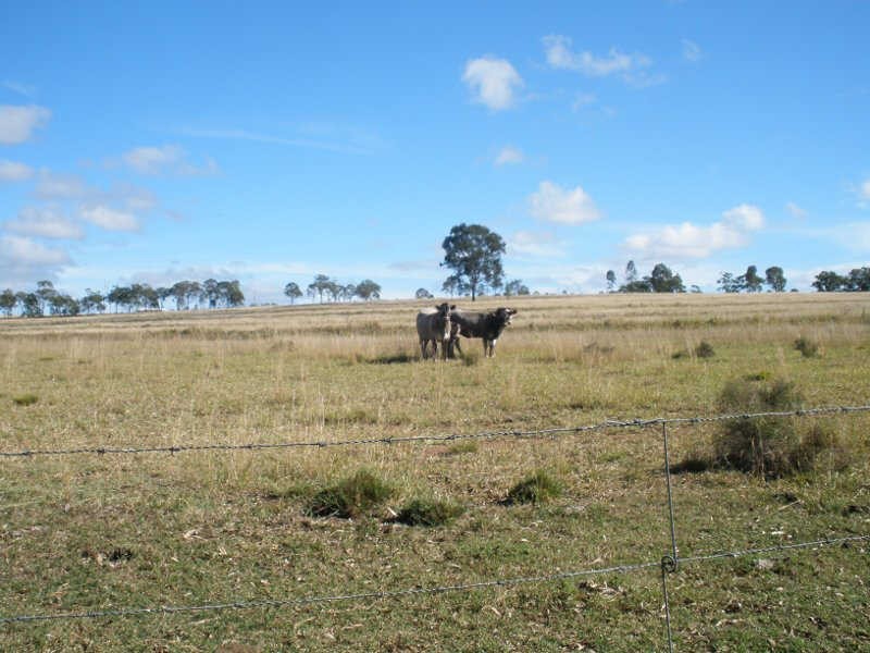 60 Maidenwell Pimpimbudgee Road, Maidenwell QLD 4615